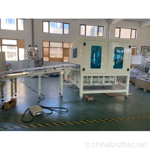 Bropack Automatic Carton Packing Line